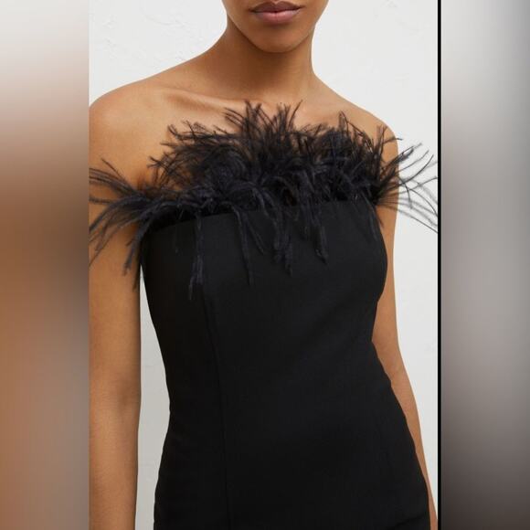 Marcella Lira $490 Black Strapless Dress with removable ostrich feathers Size 2 - Picture 2 of 9